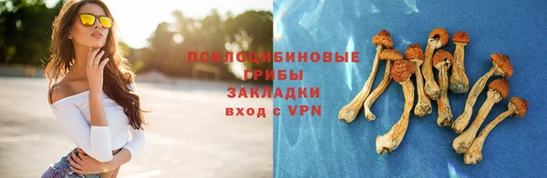 таблы Верхний Тагил