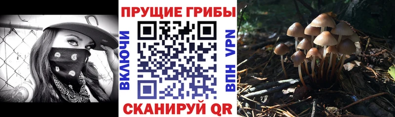 Псилоцибиновые грибы MAGIC MUSHROOMS  цена   Горбатов 